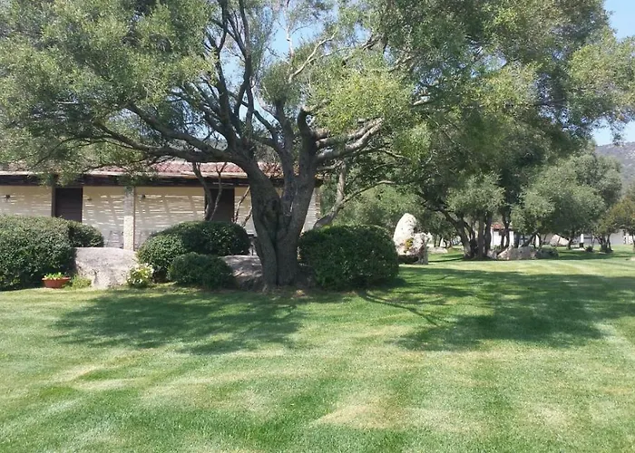 Majore 3* オルビア