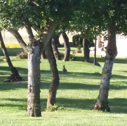 ベッド・アンド・ブレックファスト Majore 3*