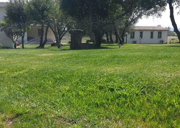 Majore 3* オルビア