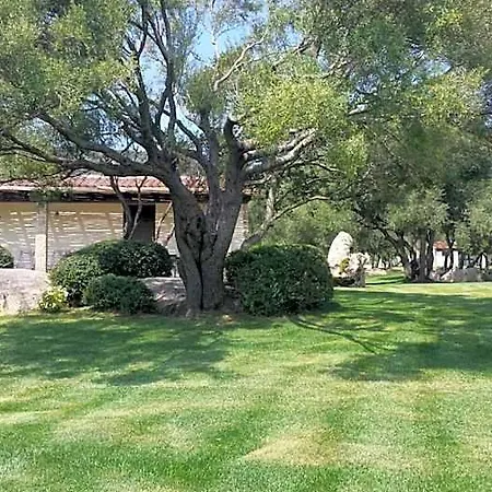 Bed & Breakfast Majore
