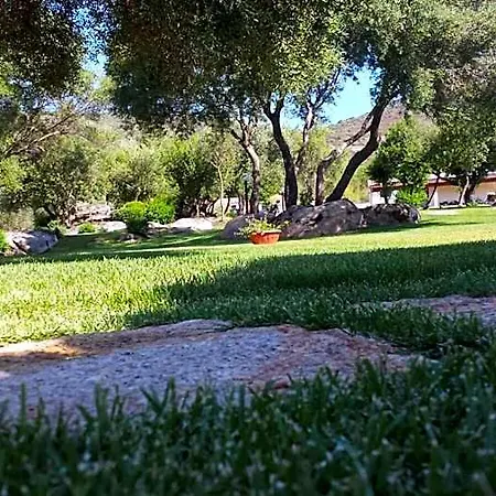 Majore Όλμπια