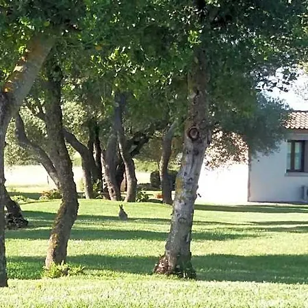 Majore Bed and Breakfast 3*