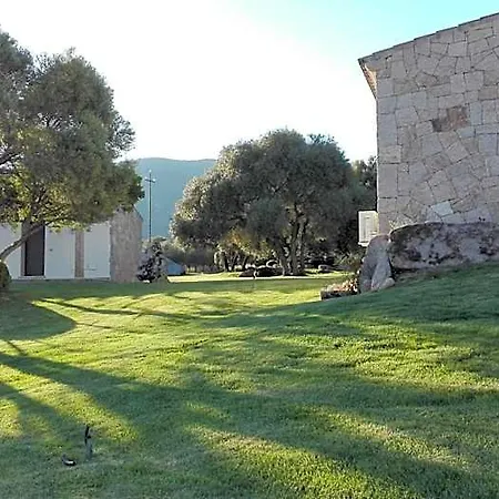 Majore Olbia