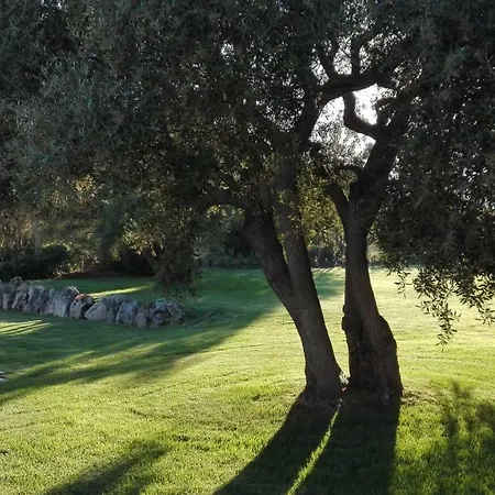 Bed & Breakfast Majore 3*