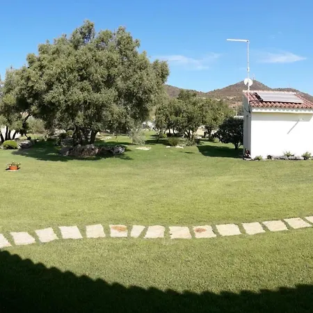 Majore 3* 奧爾比亞