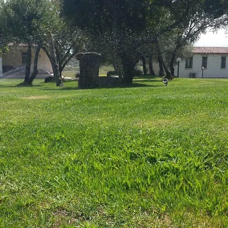 Majore * Olbia
