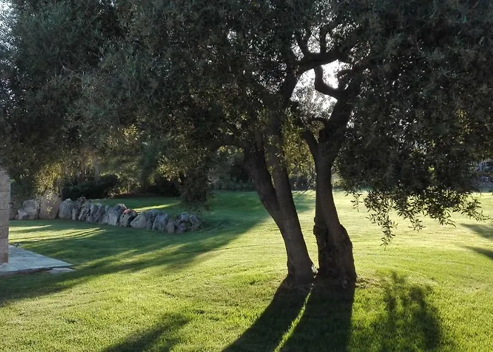 住宿加早餐酒店 Majore 3*