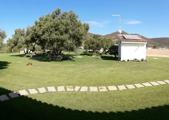 Majore 3* 奧爾比亞