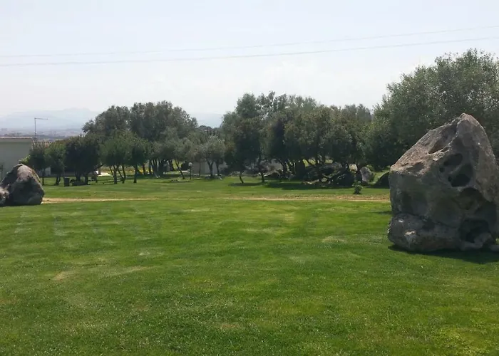 住宿加早餐酒店 Majore 奧爾比亞